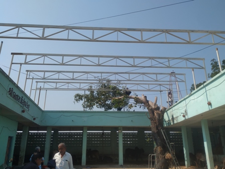 Feb - Animal Care activities